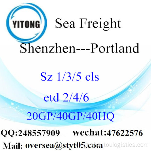 Shenzhen Porto Frete Marítimo Para Portland
